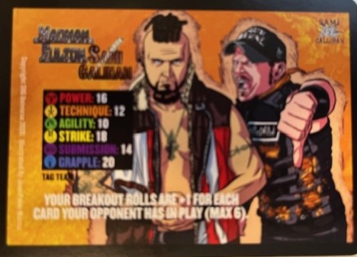 Fulton and Sami Tornado Tag with Bonus Face card