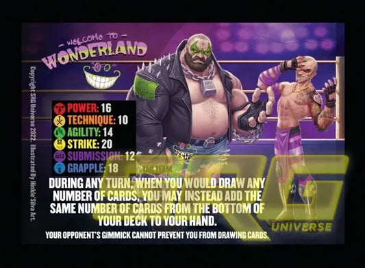 Welcome to Wonderland Tornado Tag